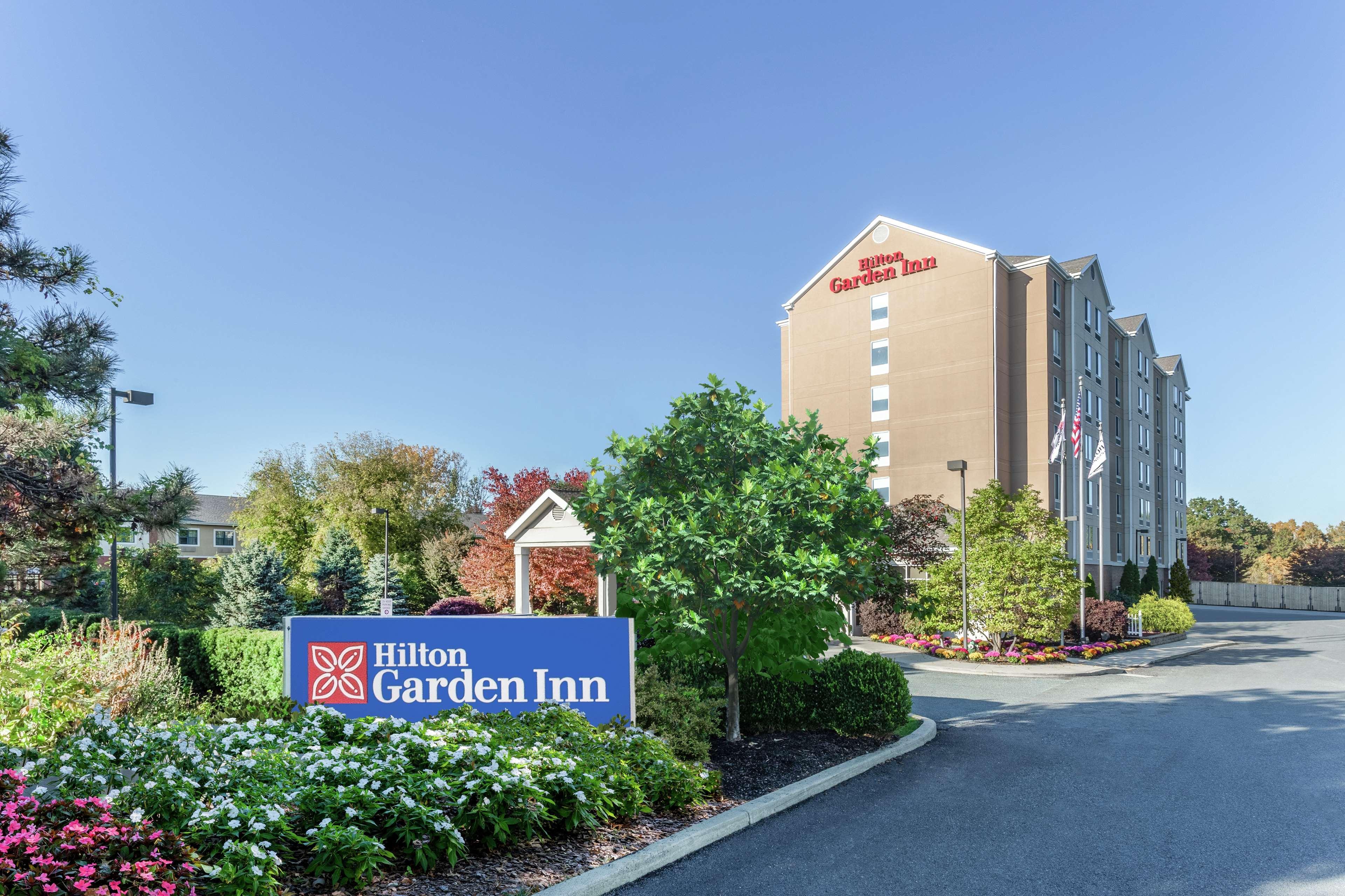 Hilton Garden Inn Albany-SUNY Area Eksteriør bilde